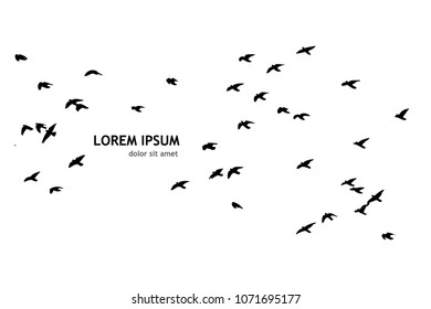 Flock of flying birds. Vector