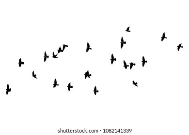 Flock of flying birds. Vector