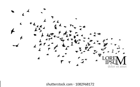 Flock of flying birds. Vector