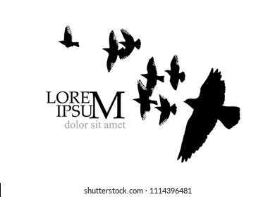 Flock of flying birds. Vector