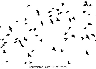 Flock Flying Birds Vector Stock Vector (Royalty Free) 1176449098 ...