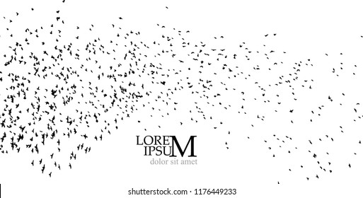 a flock of flying birds. Vector