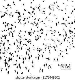 a flock of flying birds. Vector