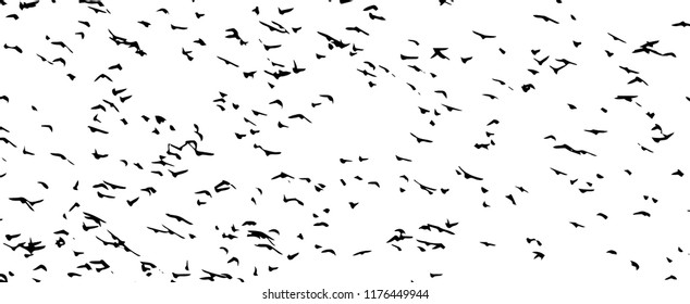 a flock of flying birds. Vector