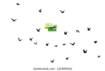 A flock of flying birds. Vector