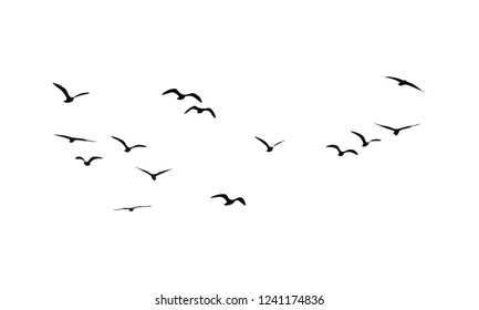 A Flock of Flying Birds. Vector