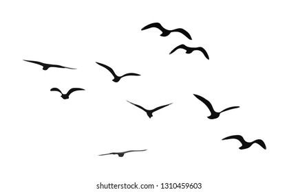 A flock of flying birds. Vector