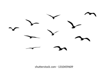 A flock of flying birds. Vector