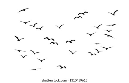 A flock of flying birds. Vector