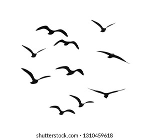 A flock of flying birds. Vector
