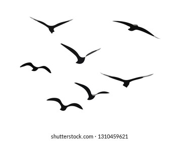 A flock of flying birds. Vector