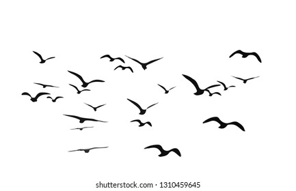 A flock of flying birds. Vector