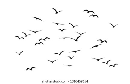 A flock of flying birds. Vector