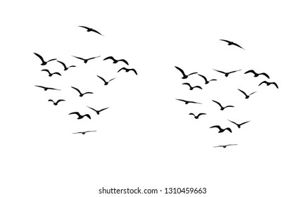 Flock Flying Birds Vector Stock Vector (Royalty Free) 1310459663