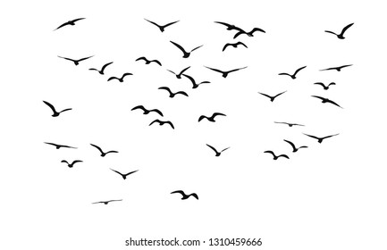 A flock of flying birds. Vector