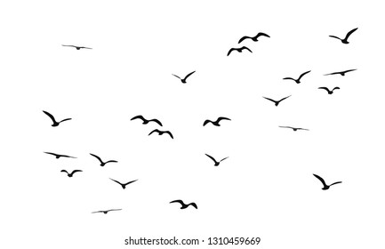 A flock of flying birds. Vector