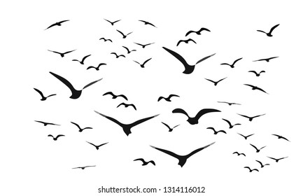 A Flock of Flying Birds. Vector