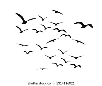 A Flock of Flying Birds. Vector