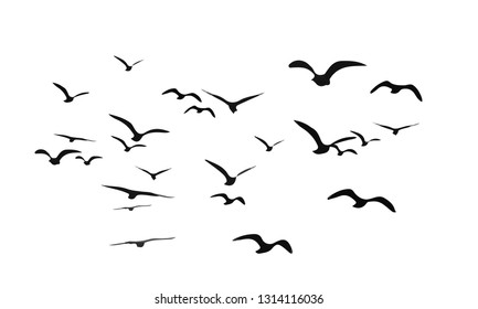 A Flock of Flying Birds. Vector