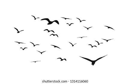 A Flock of Flying Birds. Vector