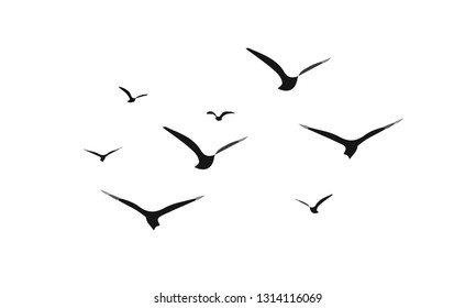 A Flock of Flying Birds. Vector