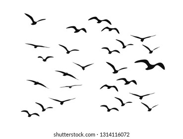 A Flock of Flying Birds. Vector