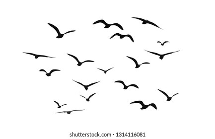 A Flock of Flying Birds. Vector