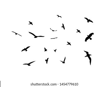 Bird Vector Birds Flockvector Illustration Stock Vector (Royalty Free ...