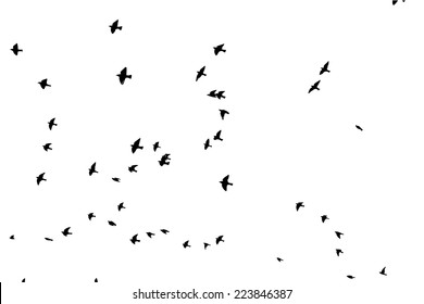 A Flock Of Flying Birds. Vector