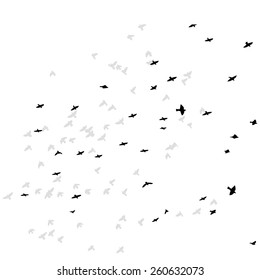 a flock of flying birds. Vector