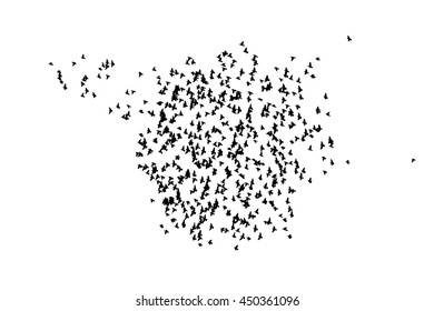 A flock of flying birds. Vector