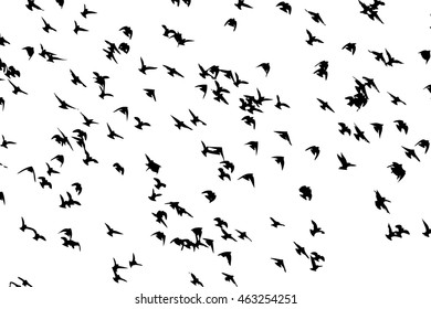 Scary Black Bats Flock Isolated On Stock Vector (Royalty Free ...