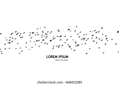 A flock of flying birds. Vector