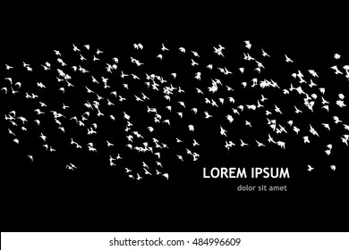 A flock of flying birds. Vector