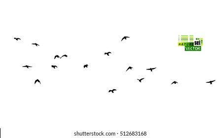 A flock of flying birds. Vector