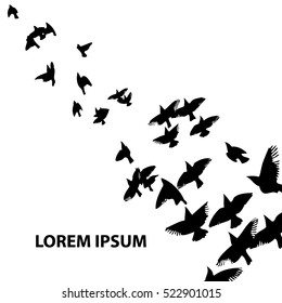 A flock of flying birds. Vector