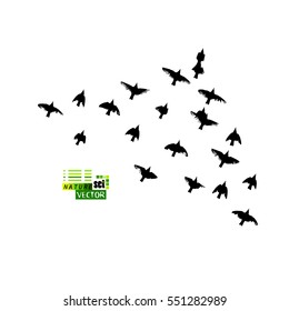 A flock of flying birds. Vector