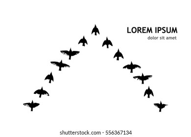 A flock of flying birds. Vector