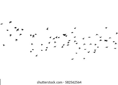 2,178 Bird flying cutout Images, Stock Photos & Vectors | Shutterstock