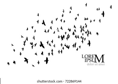 Flock of flying birds. Vector