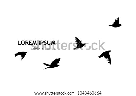 flying birds vector