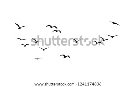 A Flock of Flying Birds. Vector 商業照片 © 