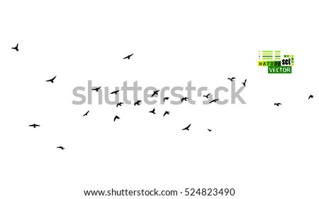 A flock of flying birds. Vector Foto stock © 