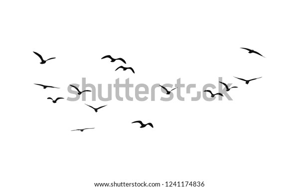 A Flock of Flying Birds.\
Vector