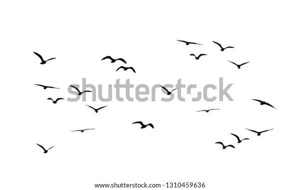 飛ぶ鳥の群れ ベクター画像 のベクター画像素材 ロイヤリティフリー