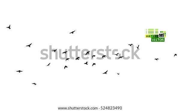 A flock of flying birds.\
Vector