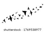 A flock of flying birds. Vector illustration