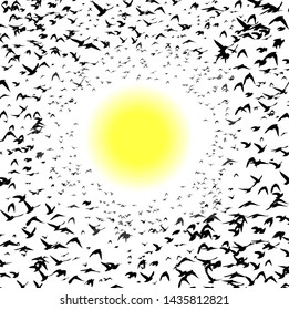 A flock of flying birds. Vector illustration