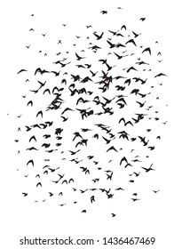 A flock of flying birds. Vector illustration