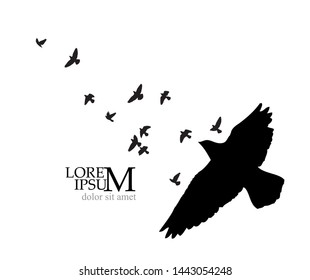a flock of flying birds. Vector illustration